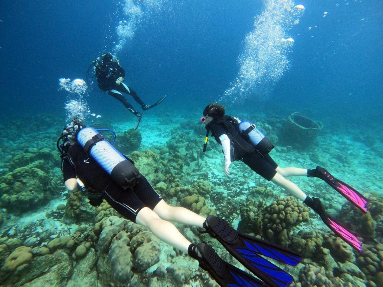 Tropical Divers Resort Playa Exteriör bild