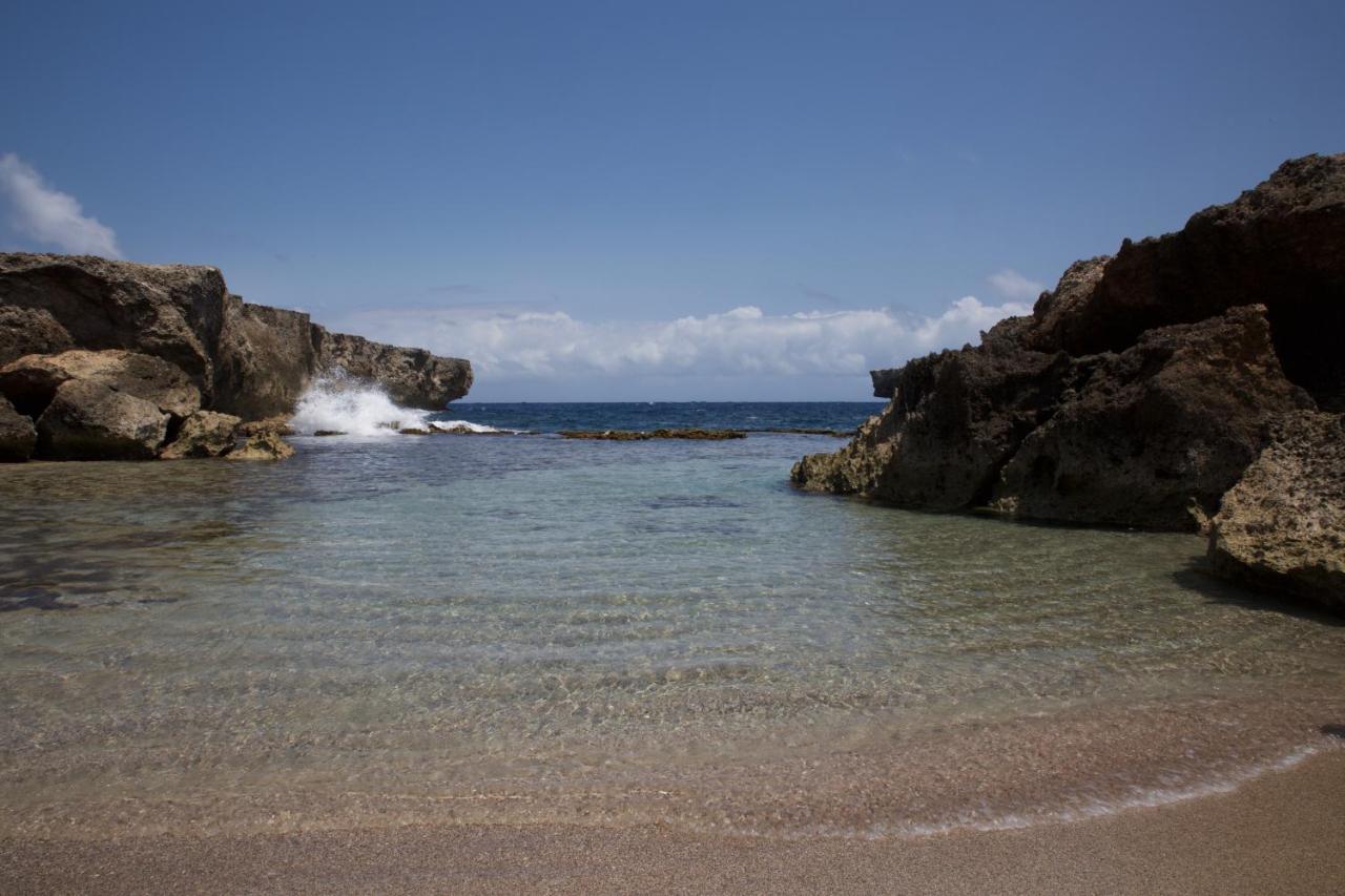 Tropical Divers Resort Playa Exteriör bild